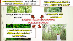 Sesungguhnya apabila kita menanam pokok, ingatlah bahawa kita telah melakukan kebaikan kepada semua makhluk allah swt di dunia ini. Bina Ulasan Faedah Faedah Penanaman Pokok Di Sekolah Youtube