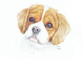 Mandala kleurplaat dieren sommige 55 elegant kleurplaten voor by kleurplaatvuurwerk.co. Tekeningen Om Na Te Tekenen