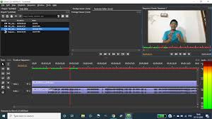 Playback No Sound Issue 1247 Olive Editor Olive Github
