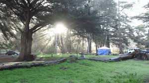Maybe you would like to learn more about one of these? Plaskett Creek Campground And Group Sites Parks Management Company Get Outdoors California Camping