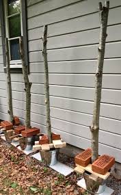 10 Best Balcony Garden Designs And Ideas For 2019 New Decoration Beleuchtung Garten Hinterhofbeleuchtung Garten