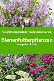 Sie finden im gärtner pötschke sale bereich des onlineshops stets attraktive schnäppchen und sonderangebote. Pin Auf Bienenfreundlicher Garten