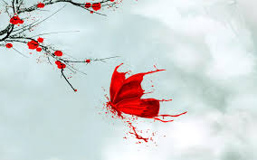 Download Red Butterfly Wallpaper Gallery 5.0 out of 5 stars 7. hd wallpapers