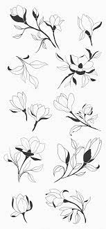 Hand Sketched Magnolia Flower Drawing Magnolia Design Flower Illustration