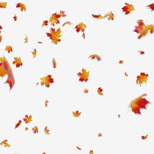 The best gifs for falling leaves. Ø³Ù‚ÙˆØ· Ø£ÙˆØ±Ø§Ù‚ Ø§Ù„Ù‚ÙŠÙ‚Ø¨ Ø®Ø´Ø¨ Ø§Ù„Ù‚ÙŠÙ‚Ø¨ Ø§Ù„Ø®Ø±ÙŠÙ ÙˆØ±Ù‚Ø© Ø§Ù„Ø´Ø¬Ø± Png ÙˆÙ…Ù„Ù Psd Ù„Ù„ØªØ­Ù…ÙŠÙ„ Ù…Ø¬Ø§Ù†Ø§ Fall Leaves Background Fall Leaves Png Leaf Clipart