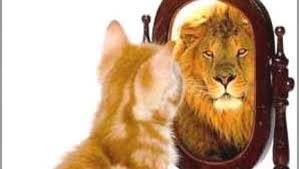 Image result for looking in the mirror images