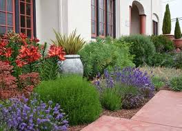 Drought Tolerant Plant Ideas For Your Homestead Tuscan Landscaping Tuscan Garden Design Low Water Landscaping