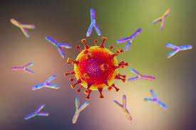 It was first identified in december 2019 in wuhan,. Le Variant Delta Bras Arme De La Quatrieme Vague De Covid