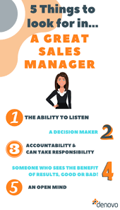 13 Red Flags To Look For When Hiring A Sales Manager - Denovo Recruitment