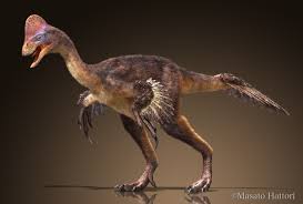 Găina Din Iad O Nouă Specie De Dinozaur Descoperită In Sua Zooland Ro