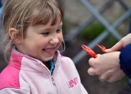 Syracuse Crawfish Festival 2019 (photos)