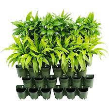 Wonderwall Self Watering Vertical 3 Pocket Garden Wall Planter Outdoor Hanging Flower Pot Amazon Co U Garden Wall Planter Hanging Vertical Planter Garden Wall