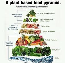 Plant Based Food Pyramid In 2019 Vegan Food Pyramid Vegan