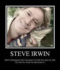 Pin On Steve Irwin