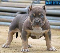 Pin On Web Pixer