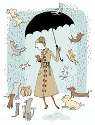 Raining cat and dog cartoon. 76 Raining Cats And Dogs Ideas Raining Cats And Dogs Cats Dog Cat