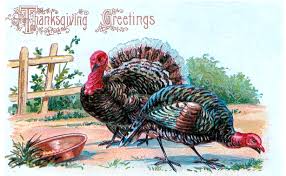 We did not find results for: Vintage Thanksgiving Postcards