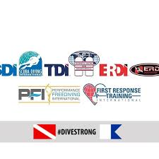 Create your own flashcards or choose from millions created by other students. Sdi Tdi Erdi America Latina Inicio Facebook