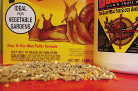 Image result for Metaldehyde Poisoning