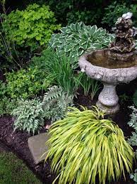 Japanese Forest Grass Japanese Painted Fern Hosta Bleeding Heart Japanese Garden Small Japanese Garden Shade Garden