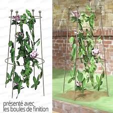 Tuteur Rosier Paysage 1m Plante Grimpante Rosier Rosier Grimpant