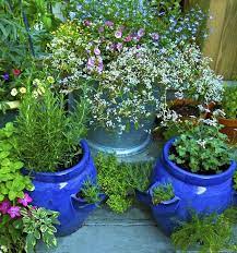 Easy Tips For Growing Herbs In Containers Container Herb Garden Growing Herbs In Pots Herb Containers