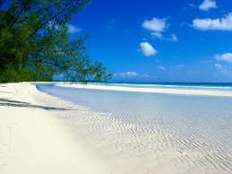 We did not find results for: Free Download Beach Wallpapers Jamaica Desktop Wallpapers 1600x1200 For Your Desktop Mobile Tablet Explore 49 Jamaica Wallpaper Desktop Wallpapers And Screensavers Jamaica Beaches Jamaica Pictures Wallpaper Jamaica Wallpaper Layouts Backgrounds