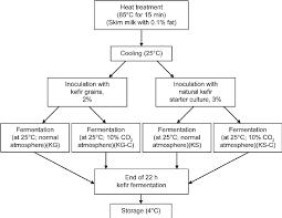 Flow Scheme Of Kefir Sample Production And Experimental