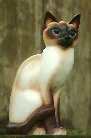 The show centers around a cat named sagwa. Ebern Designs Fingal Siamese Cat Figurine Wayfair
