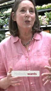 Real Virginia (@realvasocial) • Instagram photos and videos