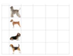 Hound Group Chart Pdf Hound Group Breed Afghan Hound