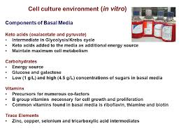 For this procedure require an essential step to. Principles Of Cell Culture Ppt Video Online Download