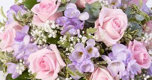 No doubt , flowers are sign of love and life. St Mellion Flowers Your Florist In Saltash Same Day Flower Delivery Available