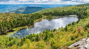 Explore more than 40,000 miles of the best curated trail maps, guidebook descriptions, photos and reviews. 10 Great Hikes Near Concord New Hampshire Outdoor Project