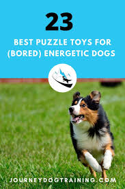 When she packed barley's bag for the big trip, she chose to bring the. 23 Best Puzzle Toys For Bored Energetic Dogs Journey Dog Training