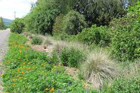 Hedgerow Xerces Society Ecology Design Garden Design Garden Styles