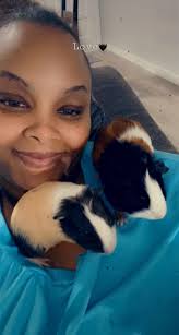 Rescue of Abandoned Guinea Pigs