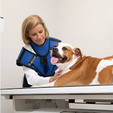 Our vet clinic will provide all the various types of care your pet may need over the course of their lifetime. Ballantyne Veterinary Clinic Vaccines Routine Exams Surgeries Wellness Plans Pet Paradise