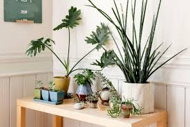 If you are interested in the position, please come into either local indoor garden store to fill out an application. Nursery 101 How And Why To Shop At Your Local Garden Center Curbed