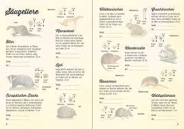 Nicht nur für kinder ein rätsel: Sticker Wissen Natur Tierspuren Bei Usborne Verlag Fur Kinderbucher