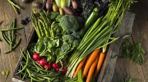 Melihat sisi perawatan yang tidak sulit, tanaman okra bisa tumbuh subur di pekarangan atau halaman rumah tanpa perawatan berarti. Booster Tanaman Anda 5 Tanaman Yang Menguntungkan Mudah Ditanam Dan Cepat Mengeluarkan Hasil