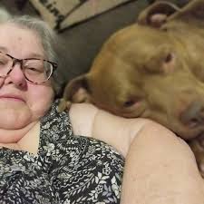 Razorbacks have a great baseball season