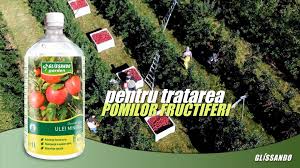 Muzeul naţional de istorie naturală grigore antipa vă invită, vineri, 28 septembrie, începând cu orele 21.30, să participați la ultima ediție a programului legănaţi. Ce Vor Plantele Home Facebook