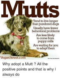 Mutts Tend To Live Longer Than Purebred Dogs Usually Have Fewer Behavioral Problems Are Less Likely To Come From Puppy Mills Are Waiting For You To Adopt Them Veganstreetcom Photoc Flickr User