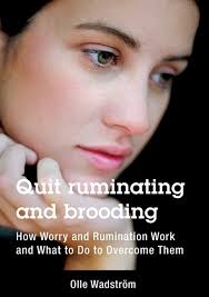 Quit Ruminating And Brooding: How Worry And Ruminating Work And What To Do  To Overcome Them Book By Olle Wadstrom, ('tp')