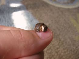 The Smallest Cake In The World By Miniaturebaker On Deviantart Small Cake Tiny Cakes Small Desserts