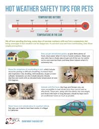 Check spelling or type a new query. Hot Weather Safety For Pets Sacramento Spca