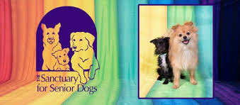 Maybe you would like to learn more about one of these? Best Goldendoodle Rescues In Ohio