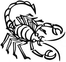 When it gets too hot to play outside, these summer printables of beaches, fish, flowers, and more will keep kids entertained. Scorpion Coloring Page Animals Town Animals Color Sheet Scorpion Free Printable Coloring Pages Animals Coloring Home
