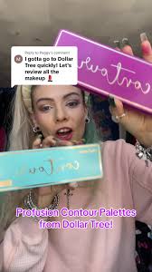 Profusion Contour Palettes Review from Dollar Tree